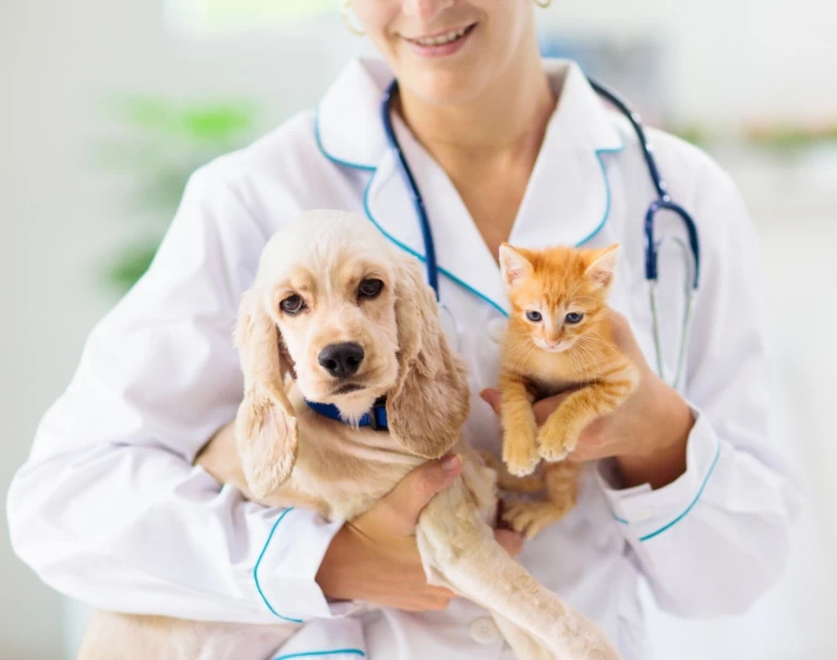 weterynarz trzymający kota i psa